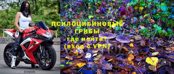 скорость Ладушкин