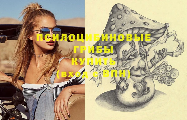 скорость Ладушкин