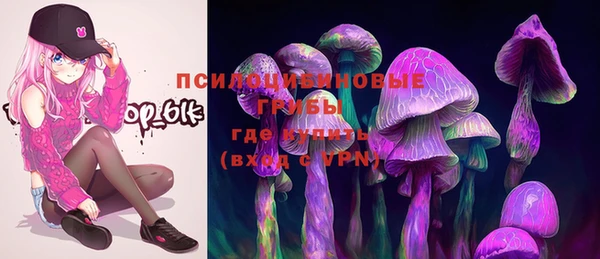 скорость Ладушкин