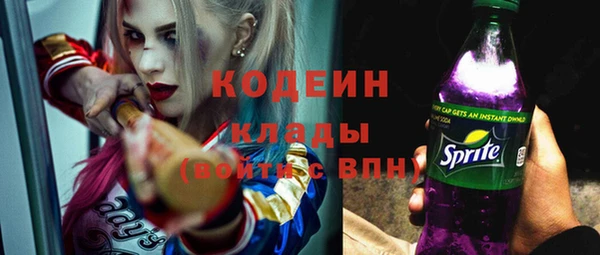 скорость Ладушкин